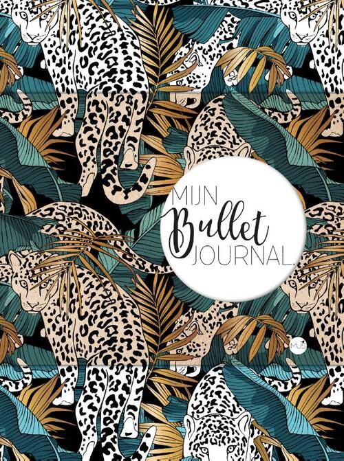 Mijn Bullet Journal
