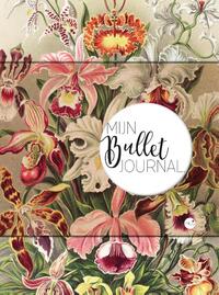 Mijn Bullet Journal